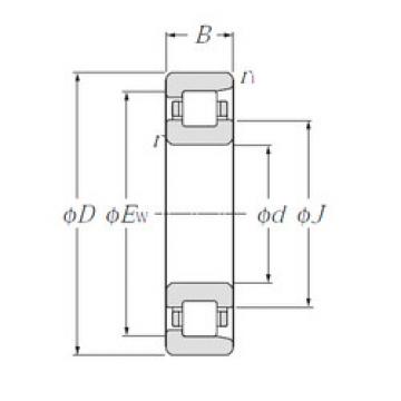 Bearing NF207 CYSD