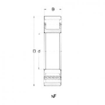 Bearing NF213 CRAFT