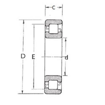 Bearing NF209 FBJ