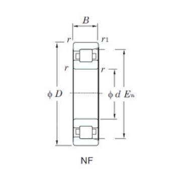 Bearing NF210 KOYO