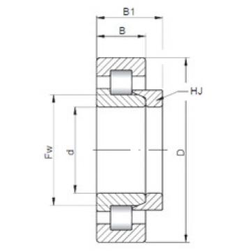 Bearing NH1048 ISO