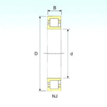 Bearing NJ 1060 ISB