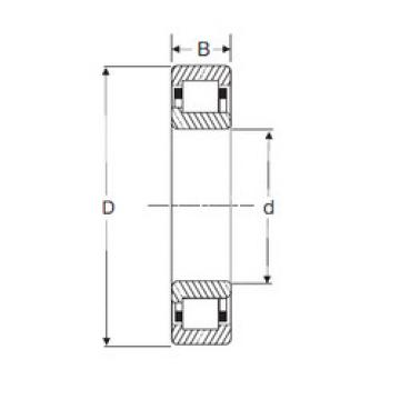 Bearing NJ 205 SIGMA