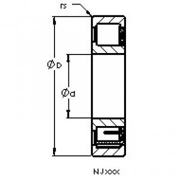 Bearing NJ207 EMA AST