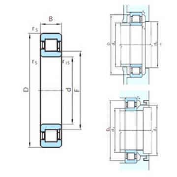 Bearing PSL 412-303 PSL