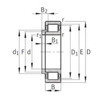 Bearing NJ252-E-M1+HJ252-E FAG