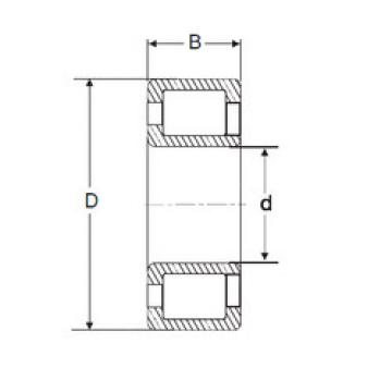 Bearing NJG 2322 VH SIGMA