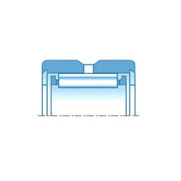 Bearing RNA0-10X20X12 NTN