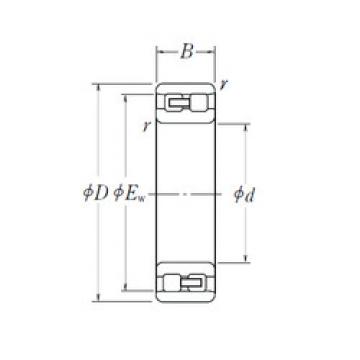 Bearing NN 3013 NSK