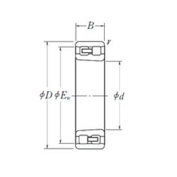 Bearing NN 3020 K NSK