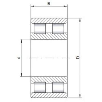 Bearing NN3010 ISO