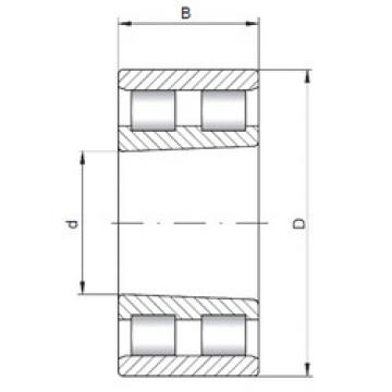 Bearing NN3012 K CX