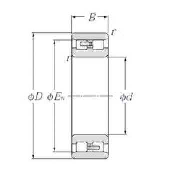 Bearing NN3024 NTN