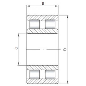 Bearing NNU4921 ISO