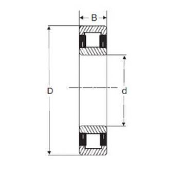 Bearing NU 2212 SIGMA