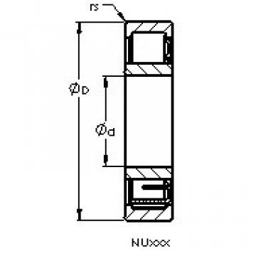 Bearing NU2219 EM AST