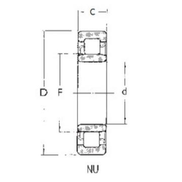 Bearing NU206 FBJ