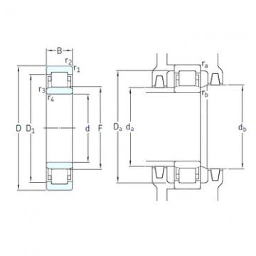 Bearing NU215ECM/HC5C3 SKF