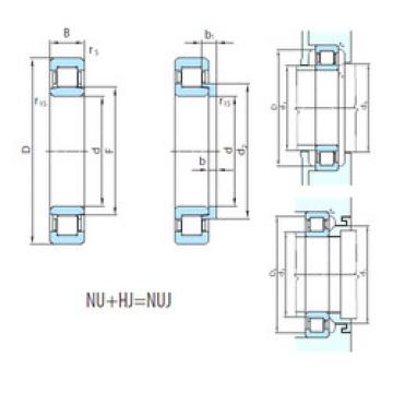 Bearing NUJ1060 PSL