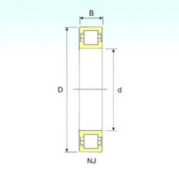 Bearing NUP 206 ISB