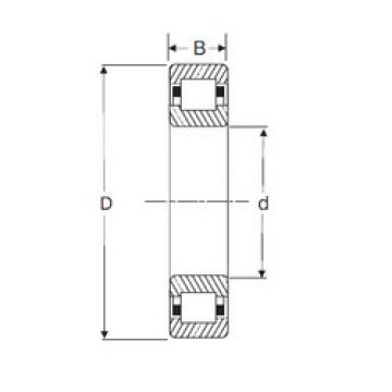 Bearing NUP 205 SIGMA