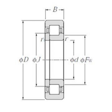 Bearing NUP1008 NTN