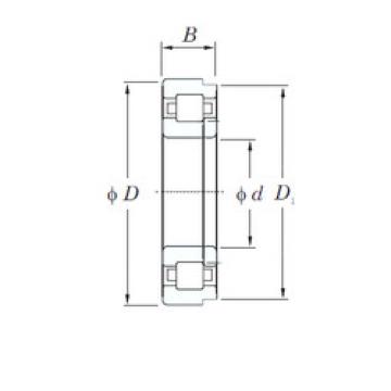 Bearing NUP1006 KOYO