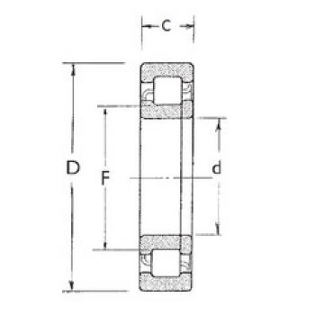 Bearing NUP205 FBJ