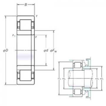 Bearing NUP2326EM NSK