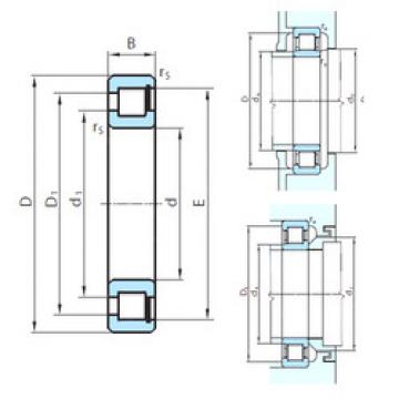 Bearing PSL 412-301 PSL