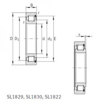 Bearing SL1818/500-E INA