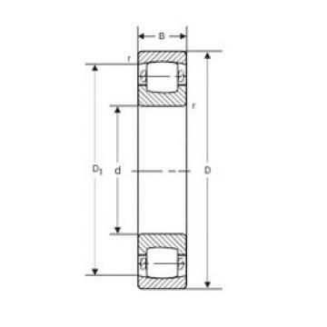 Bearing 20206 SIGMA