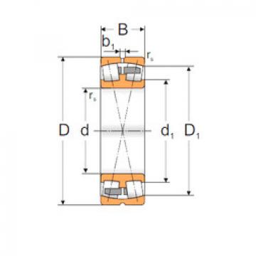 Bearing 22313 ACNMB MPZ