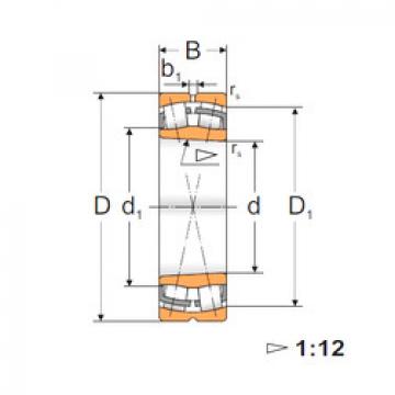 Bearing 22222 KW33 MPZ