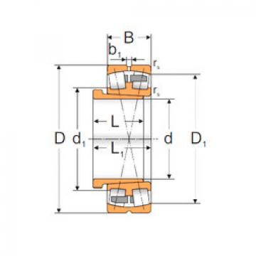 Bearing 22320 ACKMBW33+AH2320X MPZ