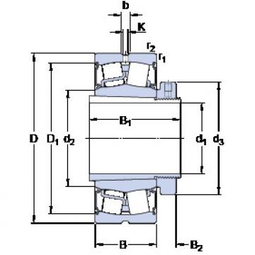 Bearing BS2-2220-2CS5K/VT143 + H 2320 E SKF