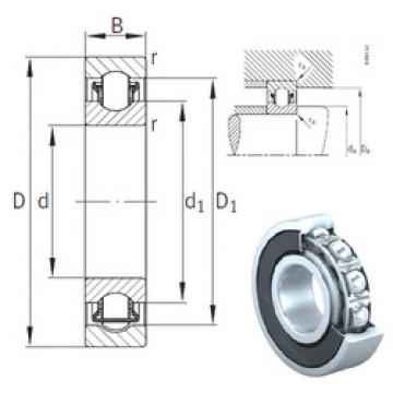 Bearing BXRE003-2HRS INA