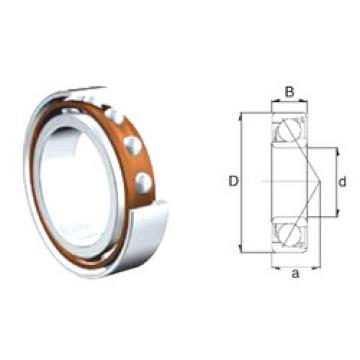 Bearing 7204B-2RS ZEN