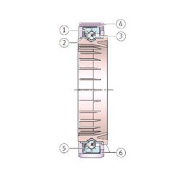 Bearing F-234805 INA