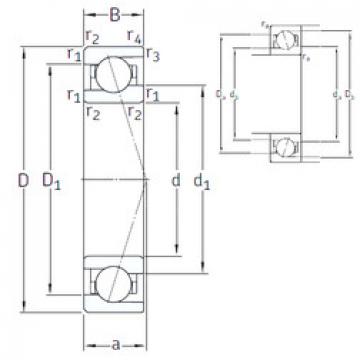 Bearing VEB 12 /NS 7CE3 SNFA