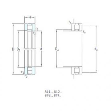 Bearing 81115TN SKF