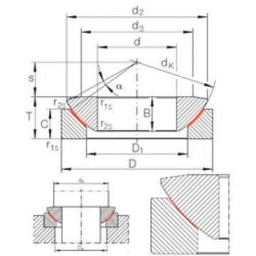 Bearing GE 10 AW INA