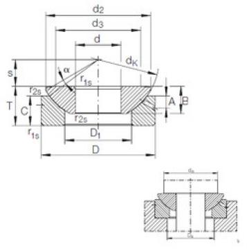 Bearing GE 10 AX INA