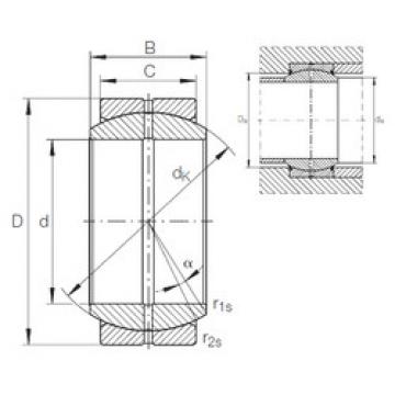 Bearing GE 25 DO INA