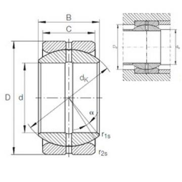 Bearing GE 22 ZO INA