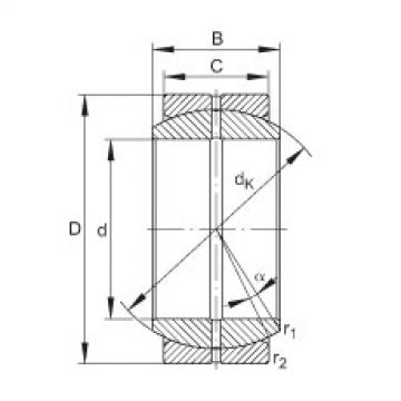 Bearing GE10-DO INA