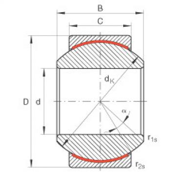 Bearing GE10-PW INA