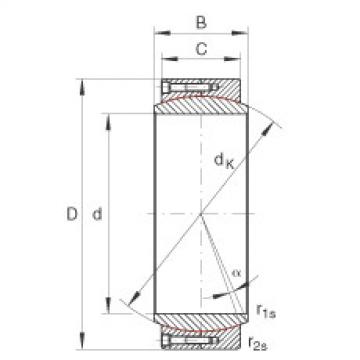 Bearing GE1000-DW INA