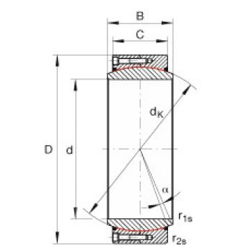 Bearing GE1000-DW-2RS2 INA