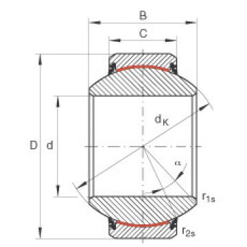 Bearing GE100-FW-2RS INA